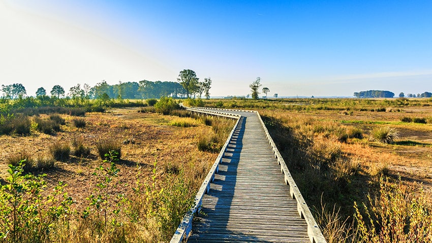 Landal Drentse Lagune - Wat te doen in de omgeving